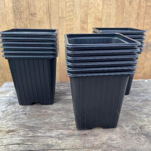 AcquaGarden Soparco Square 9cm Plant Pots in Black