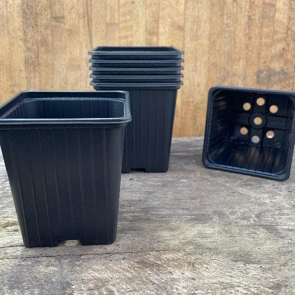 AcquaGarden Soparco Square 9cm Plant Pots in Black