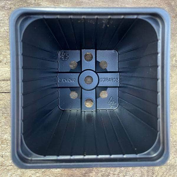 AcquaGarden Soparco Square 9cm Plant Pots in Black