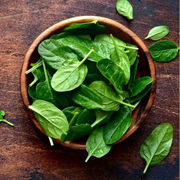 AcquaGarden Spinach 'Bella'