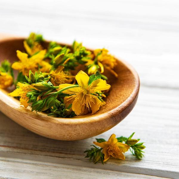 AcquaGarden St John's Wort
