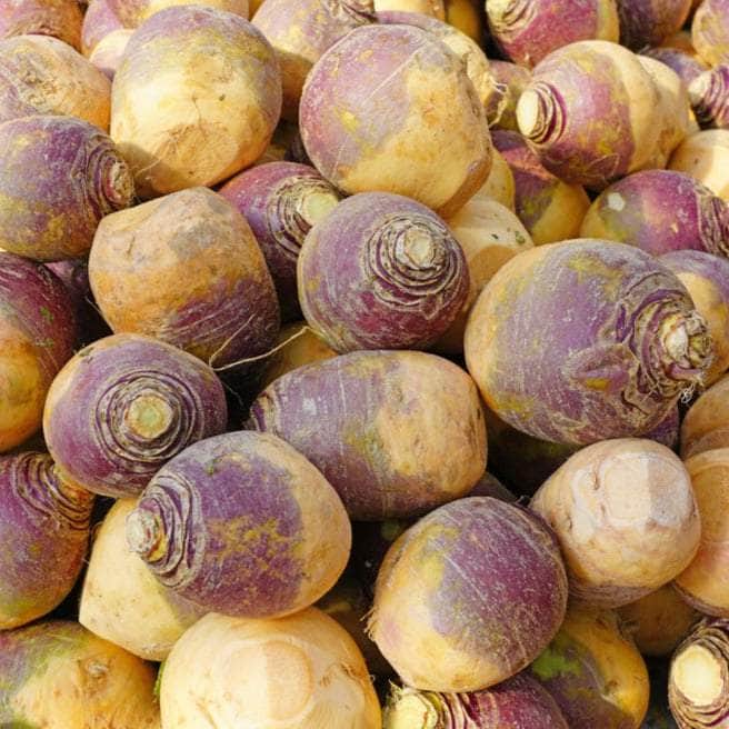 AcquaGarden Swede 'Marian'