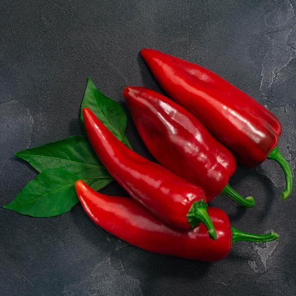 AcquaGarden Sweet Pepper 'Long Red Marconi'