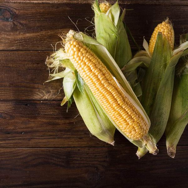 AcquaGarden Sweetcorn 'Earlibird'