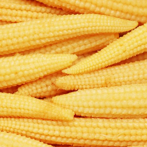 AcquaGarden Sweetcorn 'Minipop'