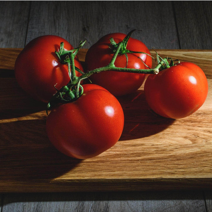 AcquaGarden Tomato 'Ailsa Craig'