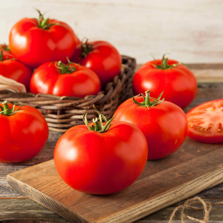 AcquaGarden Tomato 'Ailsa Craig'