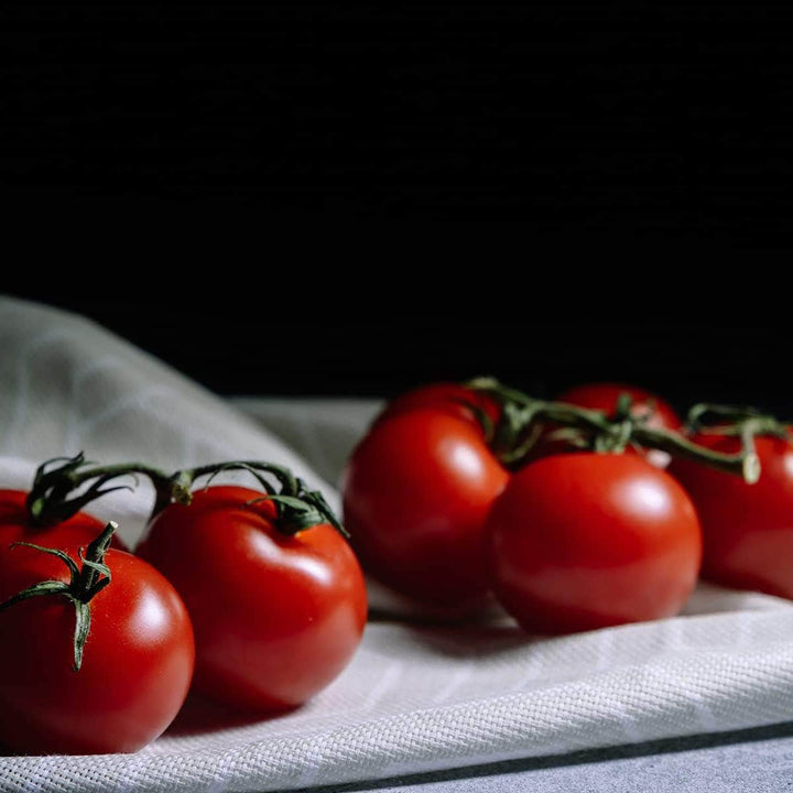 AcquaGarden Tomato 'First in the Field'