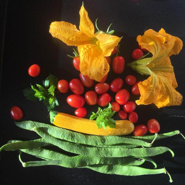 AcquaGarden Tomato 'Garden Pearl'