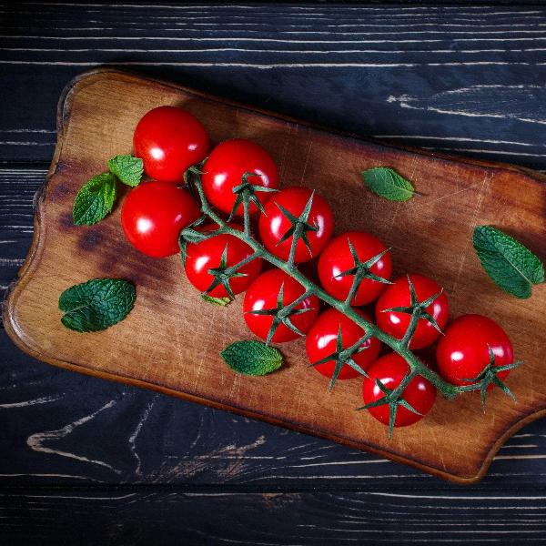 AcquaGarden Tomato 'Gardener's Delight'