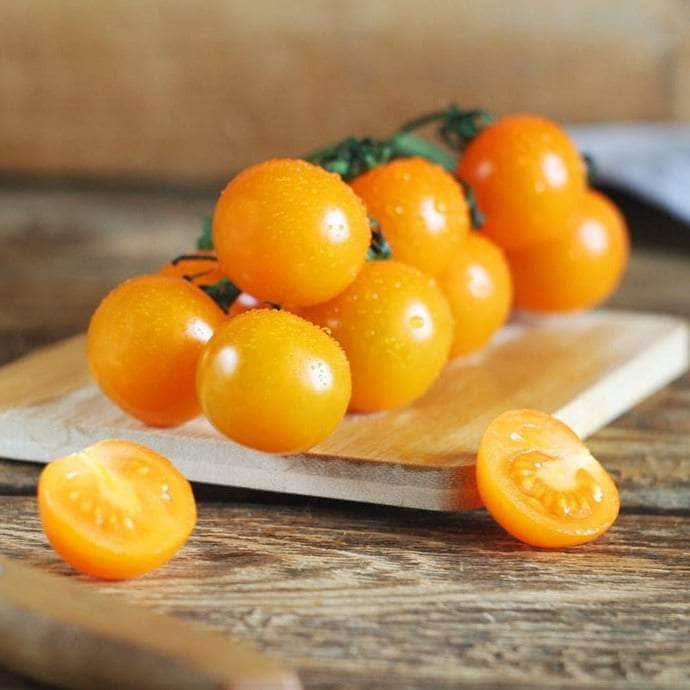AcquaGarden Tomato 'Honeycomb'