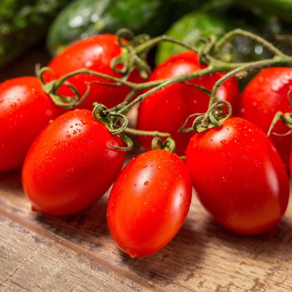 AcquaGarden Tomato 'Modus' (Mini Plum)
