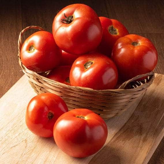 AcquaGarden Tomato 'St Pierre'
