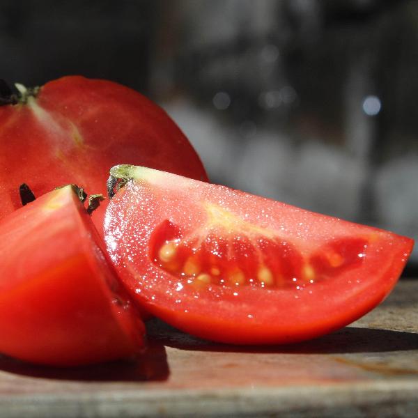 AcquaGarden Tomato 'Sweet and Neat'