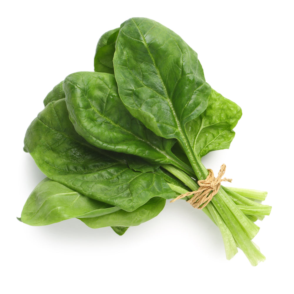 Spinach 'Renegade' - 6 x Plug Plant Pack