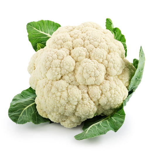 Cauliflower 'White Excel' - 6 x Plug Plant Pack
