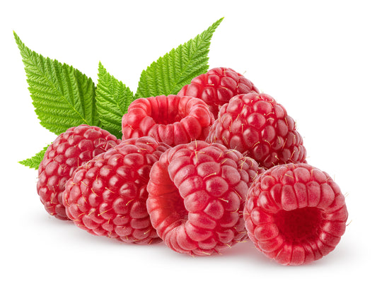 Fruit Plants - Raspberry 'Malling Admiral' - 1 x Bare Rooted Plant