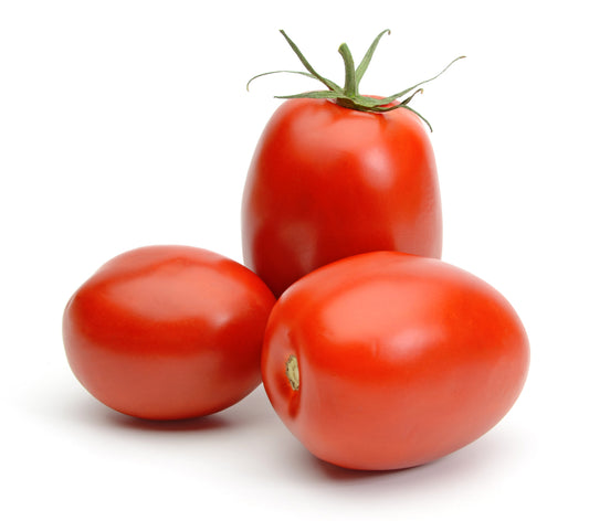 Heritage Tomato Plants - 'San Marzano' - 3 x Large Plants in 10.5cm Pots