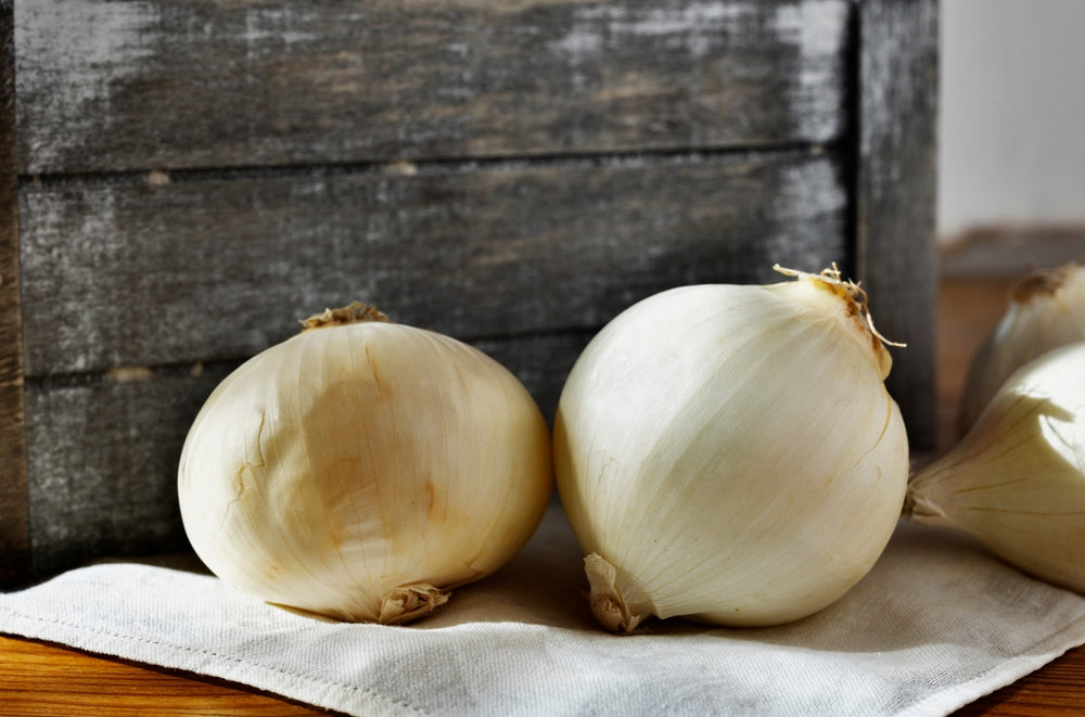 Onion 'White Bulb' - 36 x Full Plant Pack