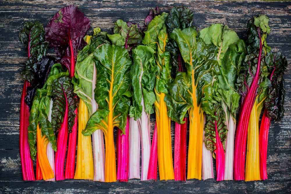Vegetable Plants - Chard 'Rainbow' - 12 x Full Plant Pack