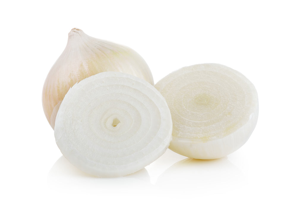 Onion 'White Bulb' - 12 x Plug Plant Pack