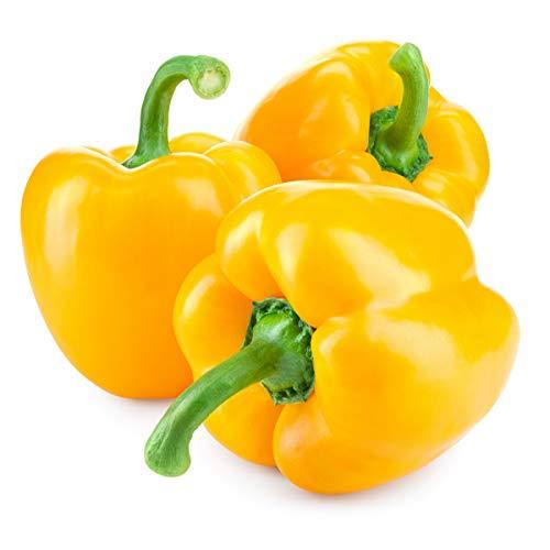 Sweet Pepper Plants - 'D'Asti Giallo Yellow' - 9 x Plug Plant Pack