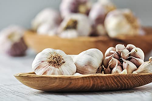 Garlic Growing Set - Mixed Garlic - 3 x Full Bulb Pack - Premium Quality Bulbs