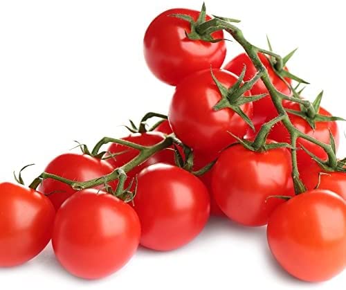 Tomato Plants - 'Tumbling Tom Red' - 3 x Large Plug Plant Pack