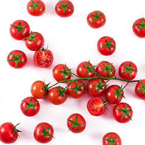 Tomato Plants - 'Tumbling Tom Red' - 3 x Large Plug Plant Pack
