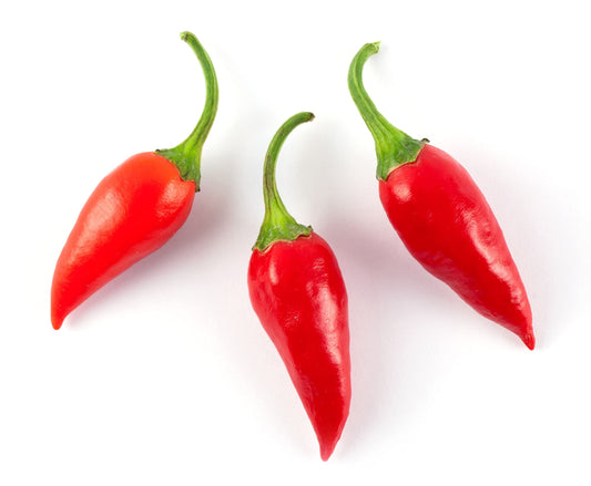 Chilli Plants - 'Basket of Fire' - 1 x Full Plant in a 9cm Pot