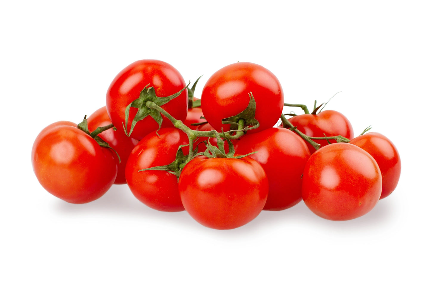 Tomato Plant 'Tumbling Tom Red' - 6 x Plug Plant Pack