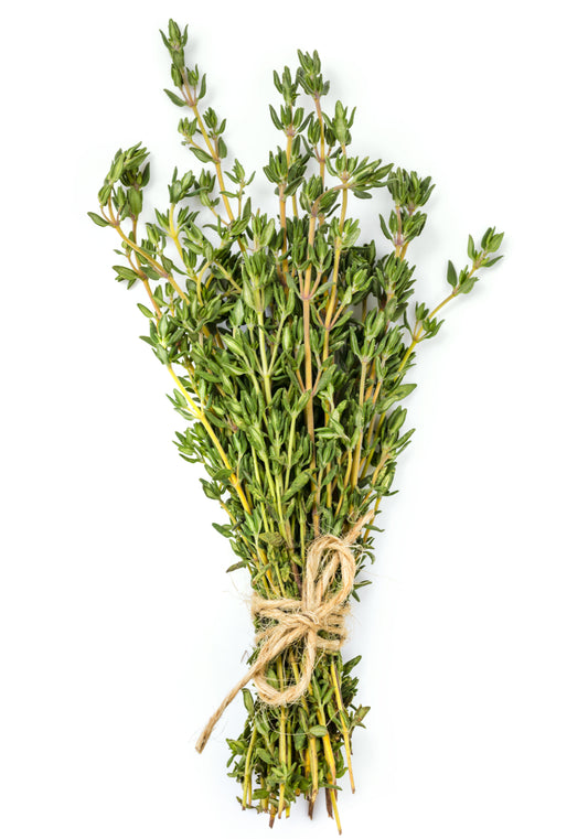 Herb Plants - English Thyme - 3 x Full Plants in 9cm Pots