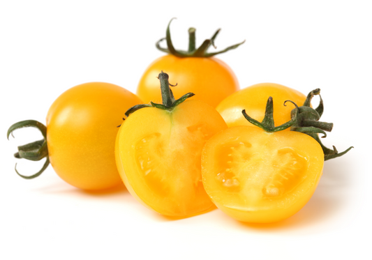 Tomato Selection - 'Tumbling Tom Red' and 'Tumbling Tom Yellow' - 6 x Plug Plant Pack