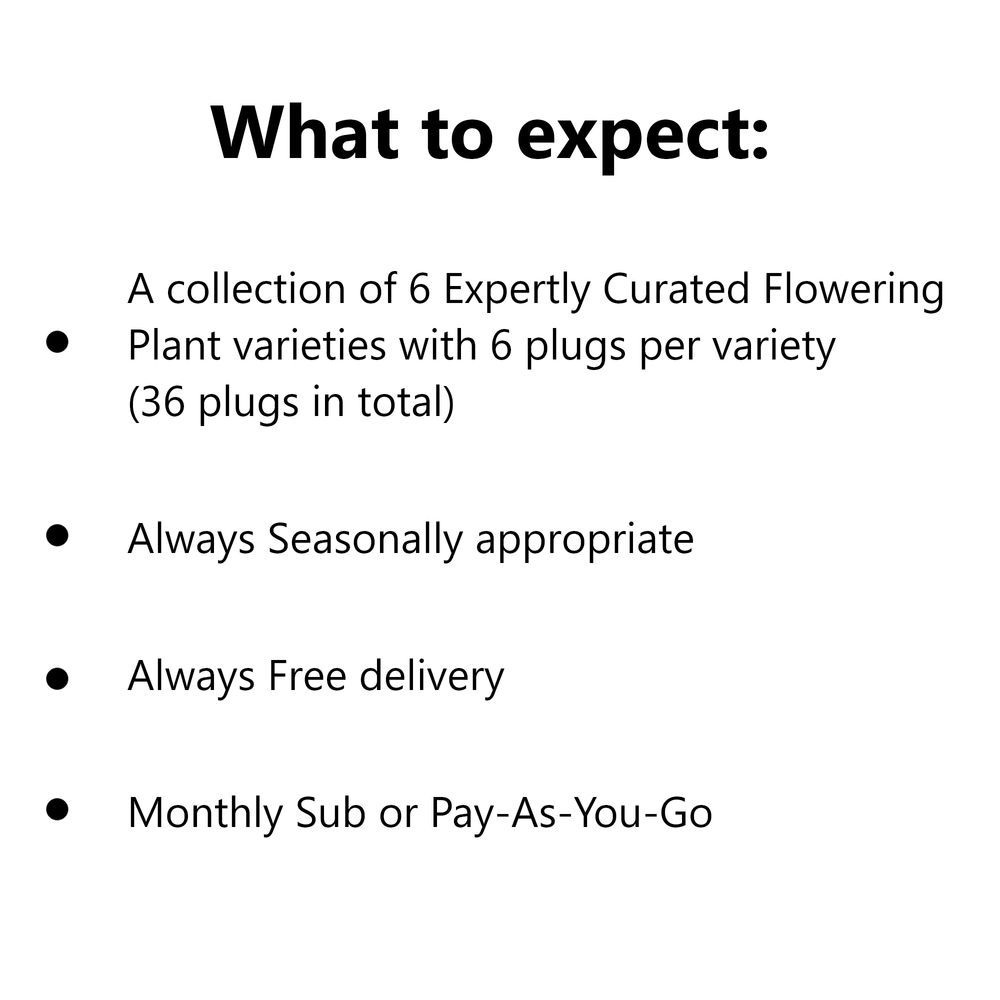 Acqua Garden Subscription Flower Garden Subscription