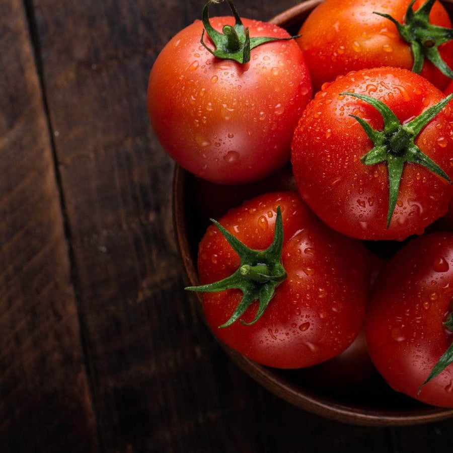 AcquaGarden Tomato 'Alicante'