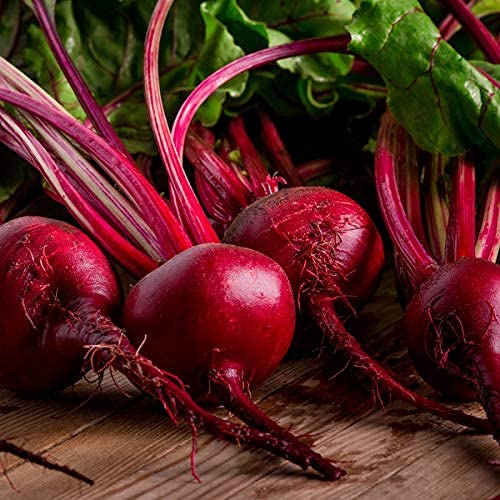 Beetroot 'Boltardy' - 12 x Seed Pack - AcquaGarden