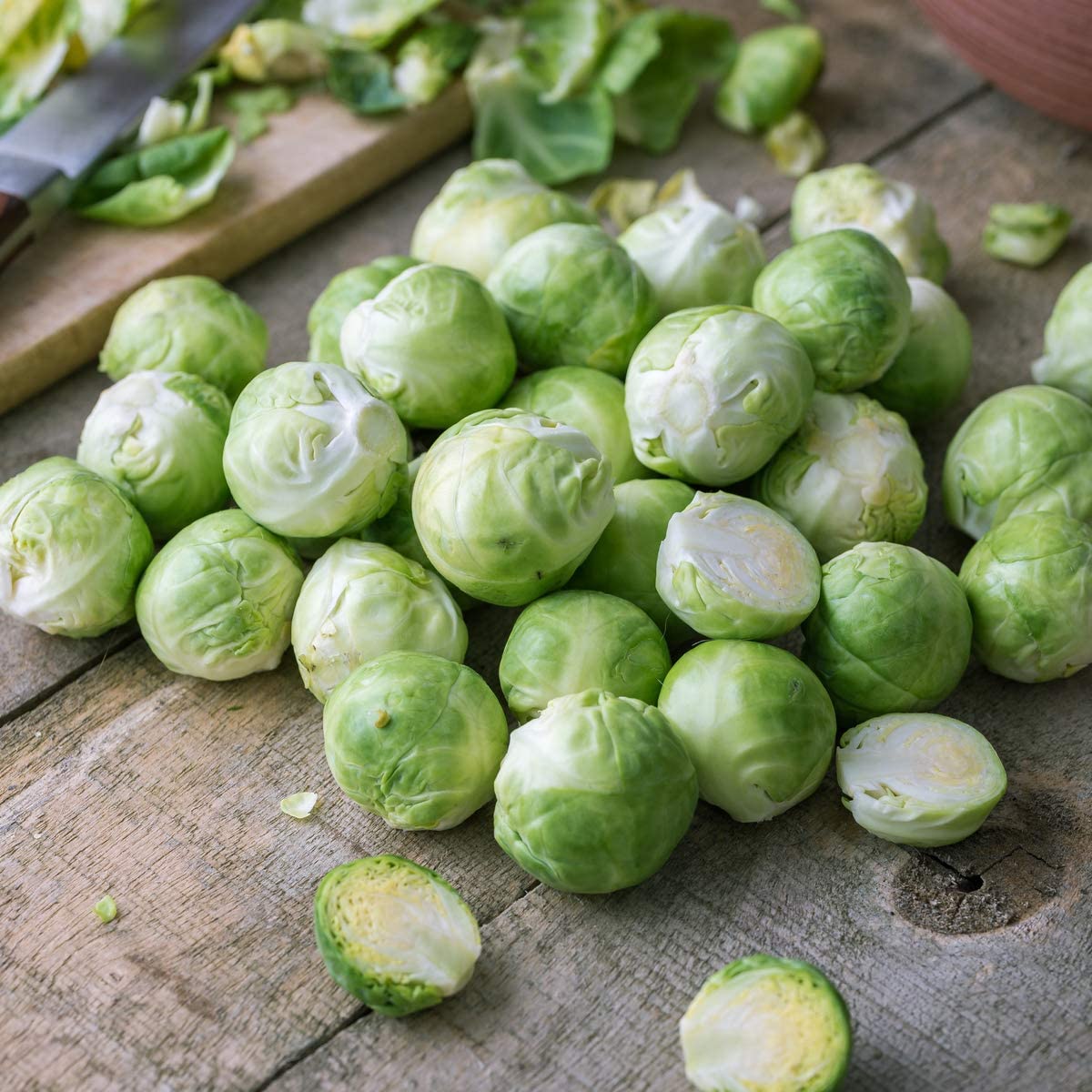 Brussels Sprouts 'Churchill' - 12 x Seed Pack - AcquaGarden