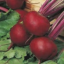 Carrots, Onions and Beetroot - Vegetable Plant Selection - 36 x Plant Pack - AcquaGarden