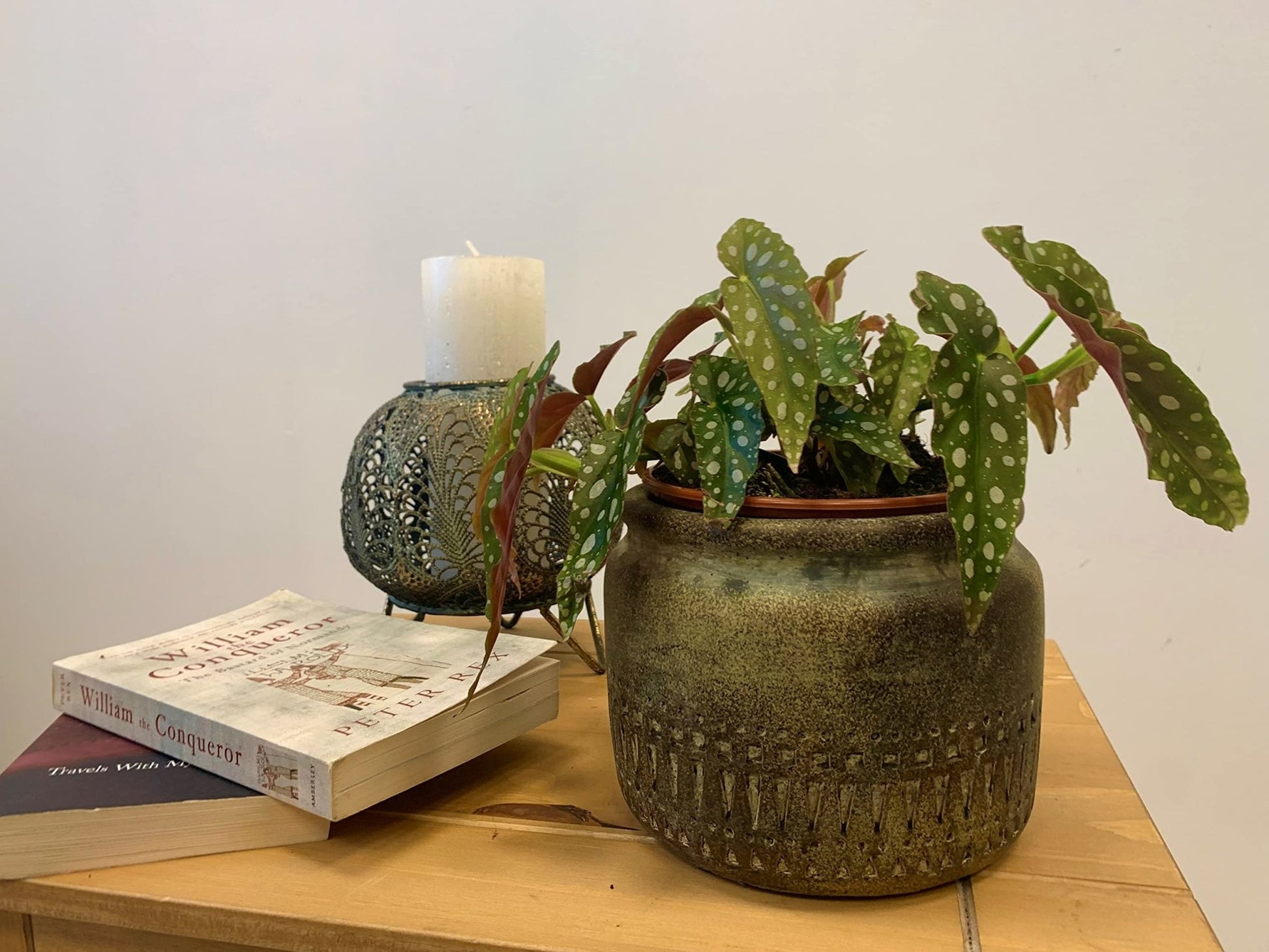 Ceramic Jar Plant Pot - 'Totem' (16cm x 12.5cm) - AcquaGarden