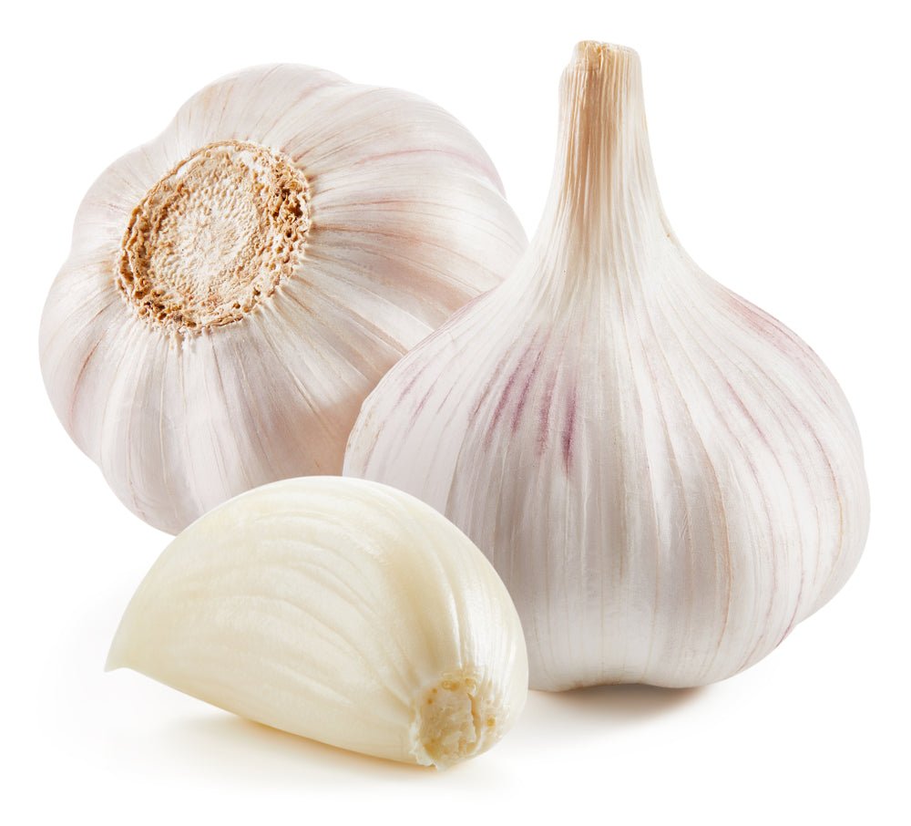Garlic Growing Set - French Garlic Variety 'Vigor Supreme' - 6 x Full Bulb Pack - AcquaGarden