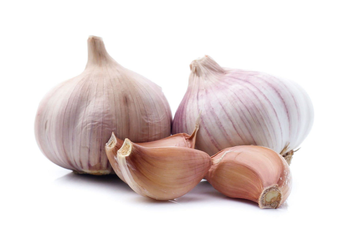 Garlic Growing Set - French Variety 'Vigor Supreme' - 3 x Bulb Pack - AcquaGarden