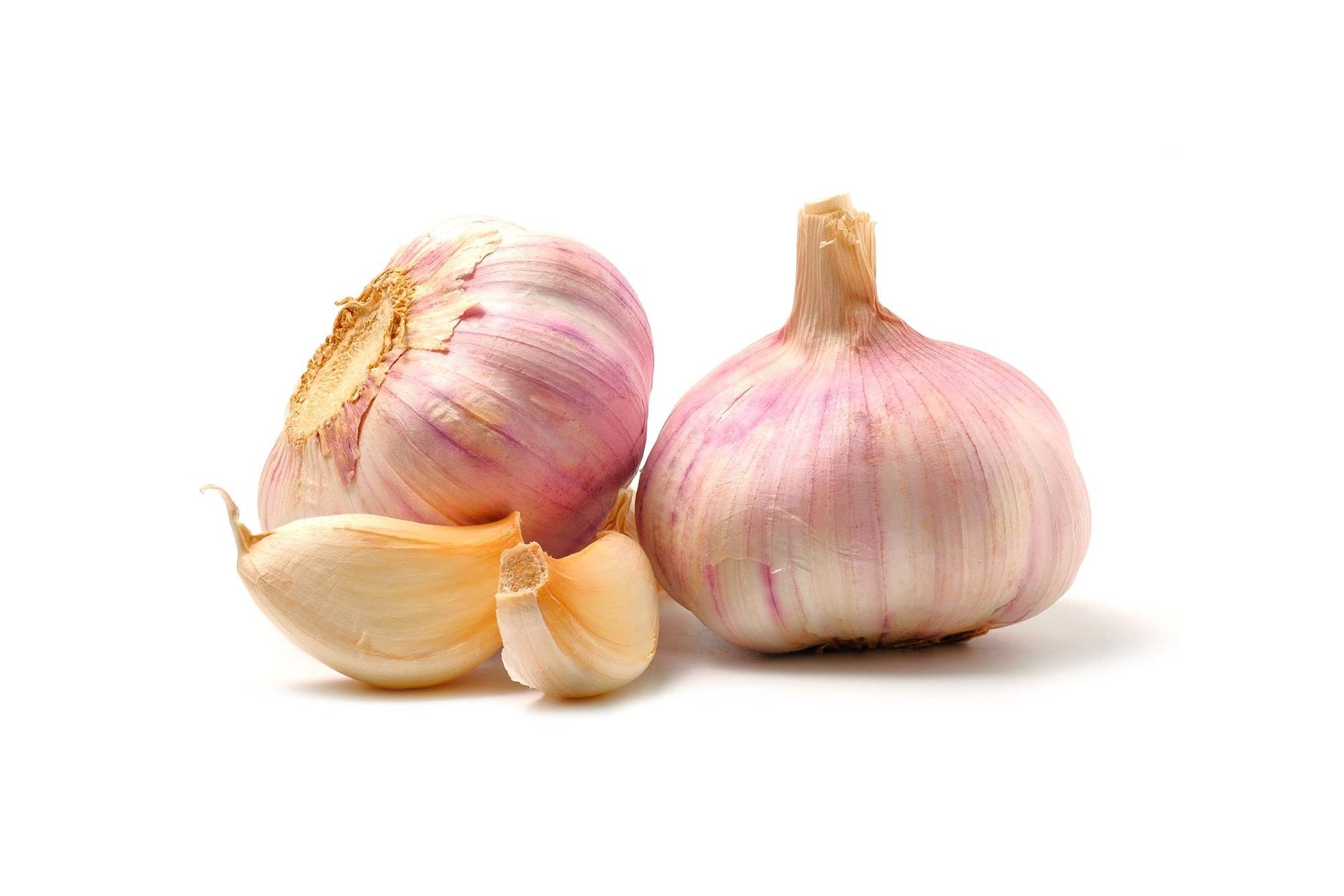Garlic Growing Set - French Variety 'Vigor Supreme' - 3 x Bulb Pack - AcquaGarden
