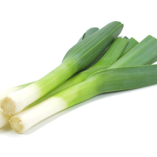 Leeks and Hispi Cabbage - 24 x Plant Pack - AcquaGarden