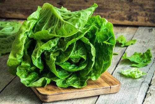 Lettuce 'All Year Round' - 100 x Seed Pack - AcquaGarden