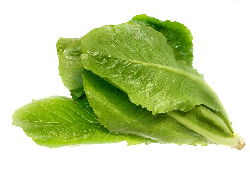 Lettuce 'Cos' - 100 x Seed Pack - AcquaGarden