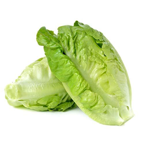 Lettuce 'Cos' - 100 x Seed Pack - AcquaGarden