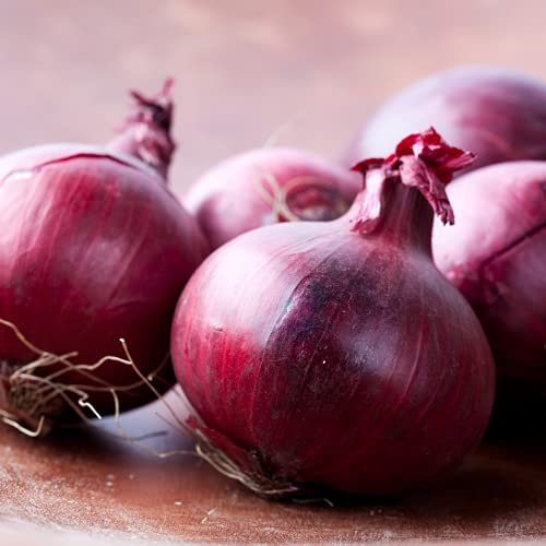 Onion 'Nigra' - 12 x Seed Pack - AcquaGarden