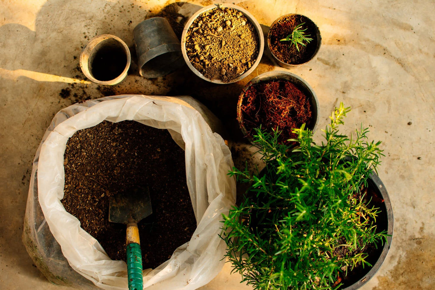 Organic Peat-Free Garden Compost - 8 x Litres in Convenient Paper Bag - AcquaGarden