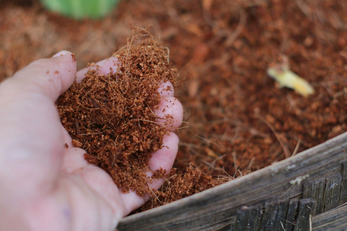 Organic Peat-Free Garden Compost - 8 x Litres in Convenient Paper Bag - AcquaGarden