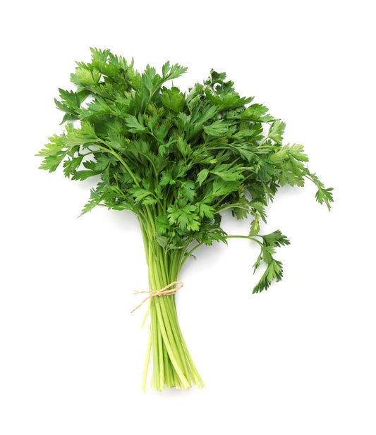Parsley 'Bravour' 200 x Seed Pack - AcquaGarden
